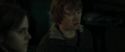 RdM1-Potterish7804.jpg
