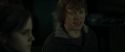 RdM1-Potterish7805.jpg