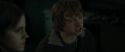 RdM1-Potterish7808.jpg