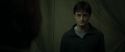 RdM1-Potterish7829.jpg