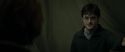 RdM1-Potterish7840.jpg