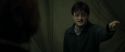 RdM1-Potterish7842.jpg