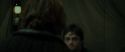 RdM1-Potterish7851.jpg