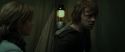RdM1-Potterish7861.jpg