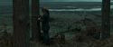 RdM1-Potterish8010.jpg