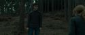 RdM1-Potterish8016.jpg