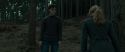 RdM1-Potterish8017.jpg