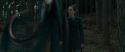 RdM1-Potterish8029.jpg