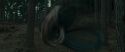 RdM1-Potterish8030.jpg