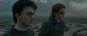 RdM1-Potterish8033.jpg