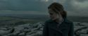 RdM1-Potterish8052.jpg