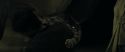 RdM1-Potterish8273.jpg