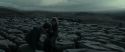 RdM1-Potterish8431.jpg