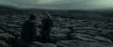 RdM1-Potterish8433.jpg