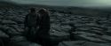 RdM1-Potterish8466.jpg