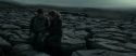 RdM1-Potterish8467.jpg