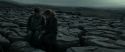 RdM1-Potterish8468.jpg