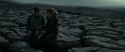 RdM1-Potterish8471.jpg