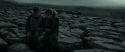 RdM1-Potterish8477.jpg