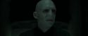 RdM1-Potterish853.jpg