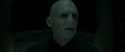 RdM1-Potterish857.jpg