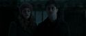 RdM1-Potterish8723.jpg