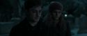 RdM1-Potterish8864.jpg
