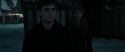 RdM1-Potterish9009.jpg