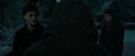 RdM1-Potterish9026.jpg