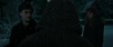 RdM1-Potterish9028.jpg
