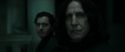 RdM1-Potterish910.jpg