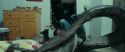 RdM1-Potterish9330.jpg