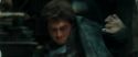 RdM1-Potterish9338.jpg