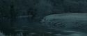 RdM1-Potterish9427.jpg