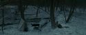 RdM1-Potterish9439.jpg