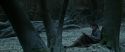 RdM1-Potterish9448.jpg