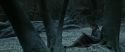 RdM1-Potterish9449.jpg