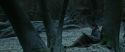 RdM1-Potterish9450.jpg