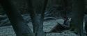 RdM1-Potterish9451.jpg