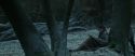 RdM1-Potterish9452.jpg