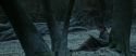 RdM1-Potterish9454.jpg