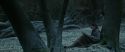 RdM1-Potterish9456.jpg