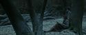 RdM1-Potterish9457.jpg