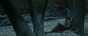 RdM1-Potterish9459.jpg
