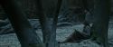 RdM1-Potterish9461.jpg