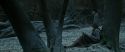 RdM1-Potterish9465.jpg