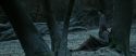RdM1-Potterish9466.jpg