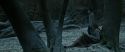 RdM1-Potterish9467.jpg