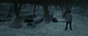 RdM1-Potterish9472.jpg