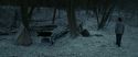 RdM1-Potterish9476.jpg